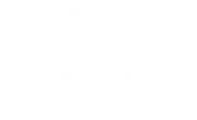 towing vehicle 1